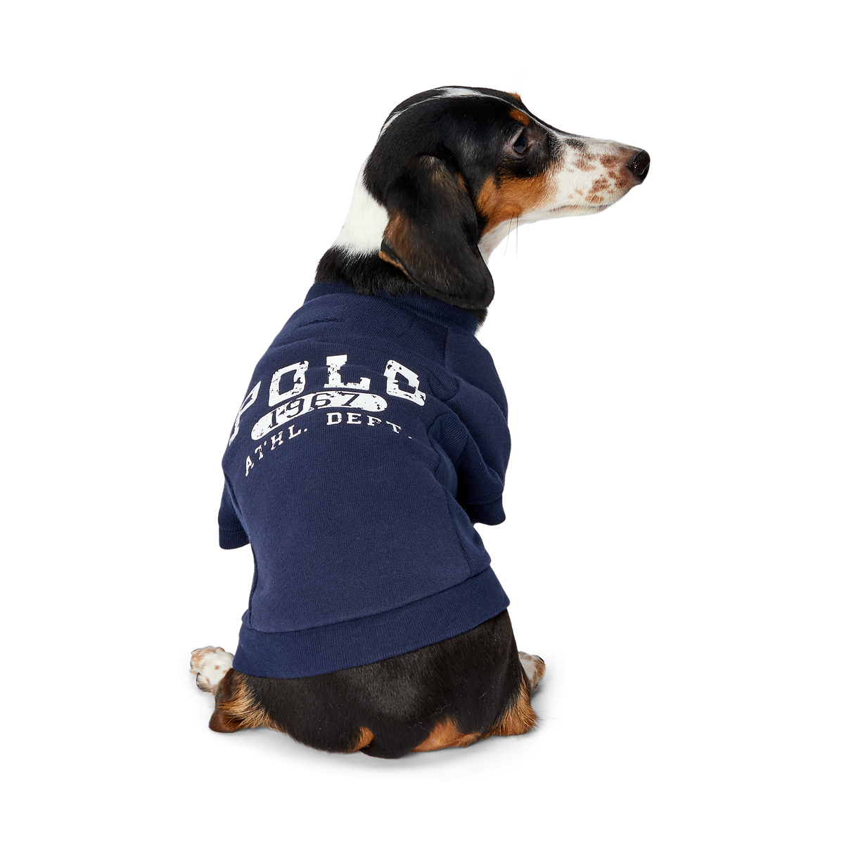 Polo Ralph Lauren Fleece Dog Sweatshirt