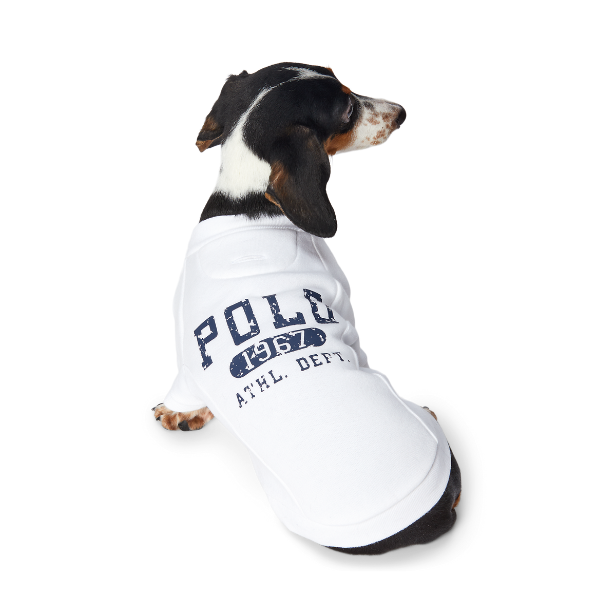 Polo Ralph Lauren Fleece Dog Sweatshirt