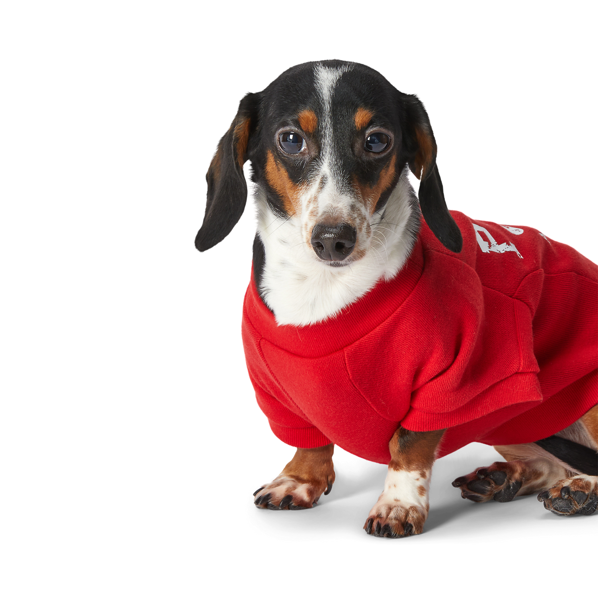 Polo Ralph Lauren Fleece Dog Sweatshirt