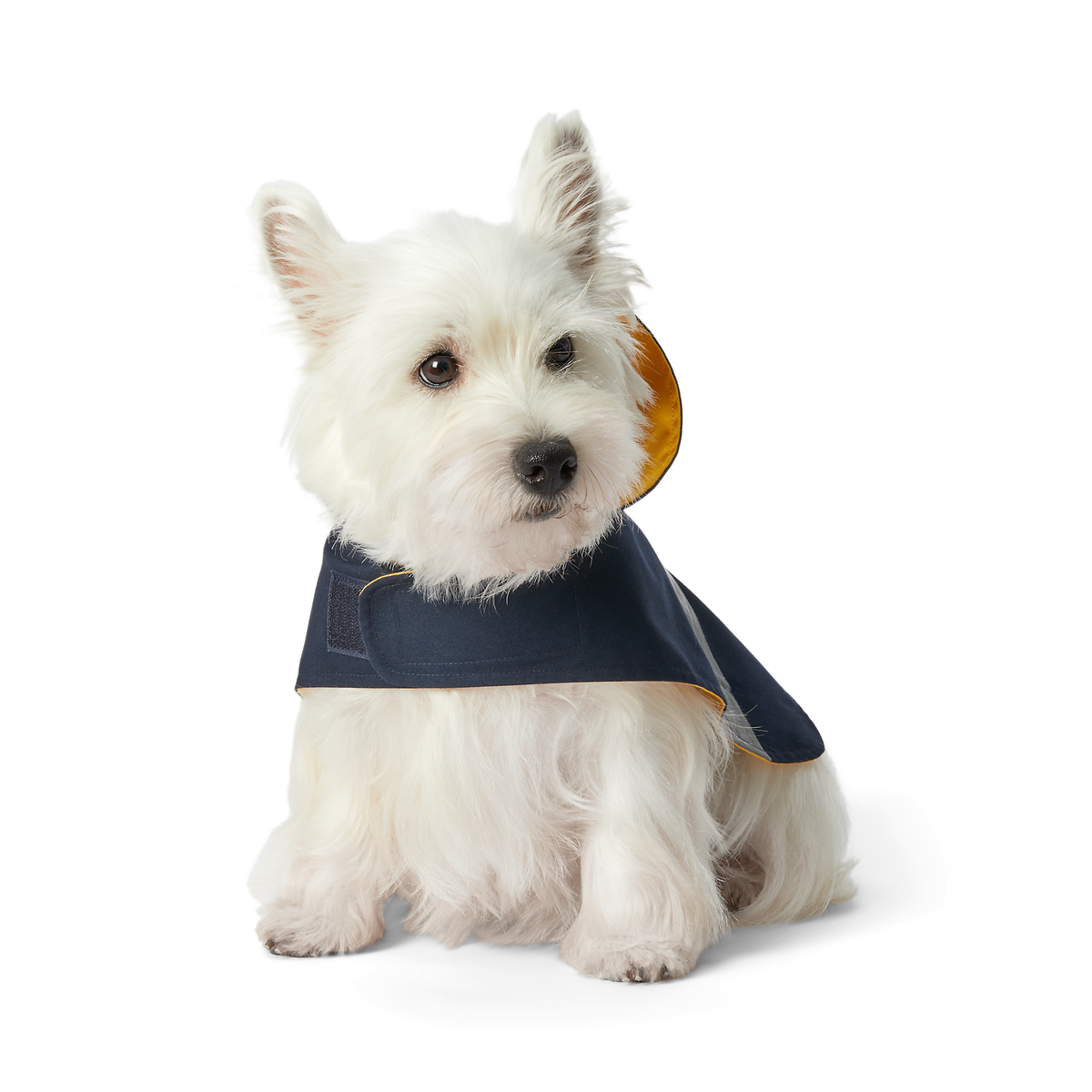 Polo Ralph Lauren Cotton-Canvas Dog Raincoat