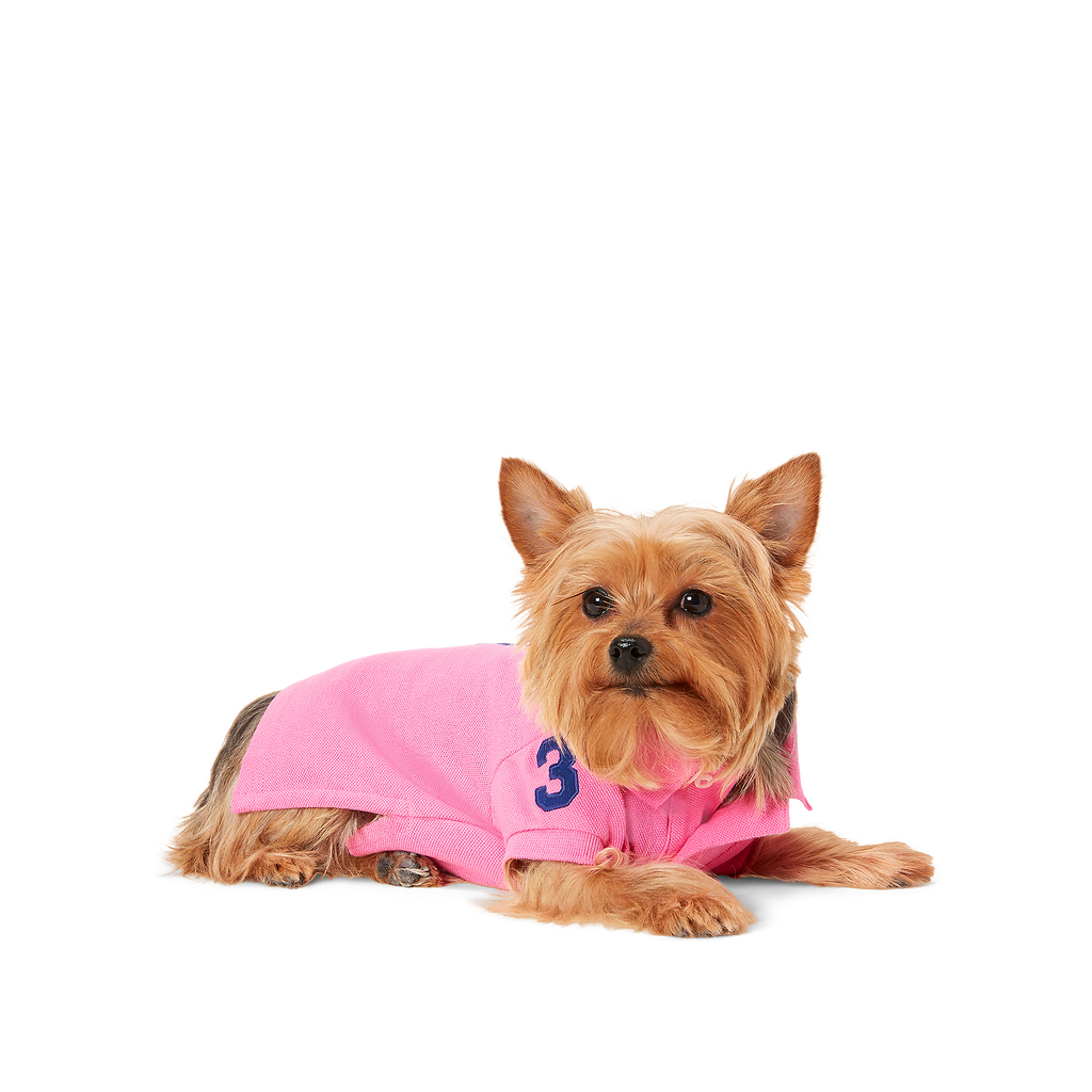 Polo Ralph Lauren Big-Pony Mesh Dog Polo Shirt