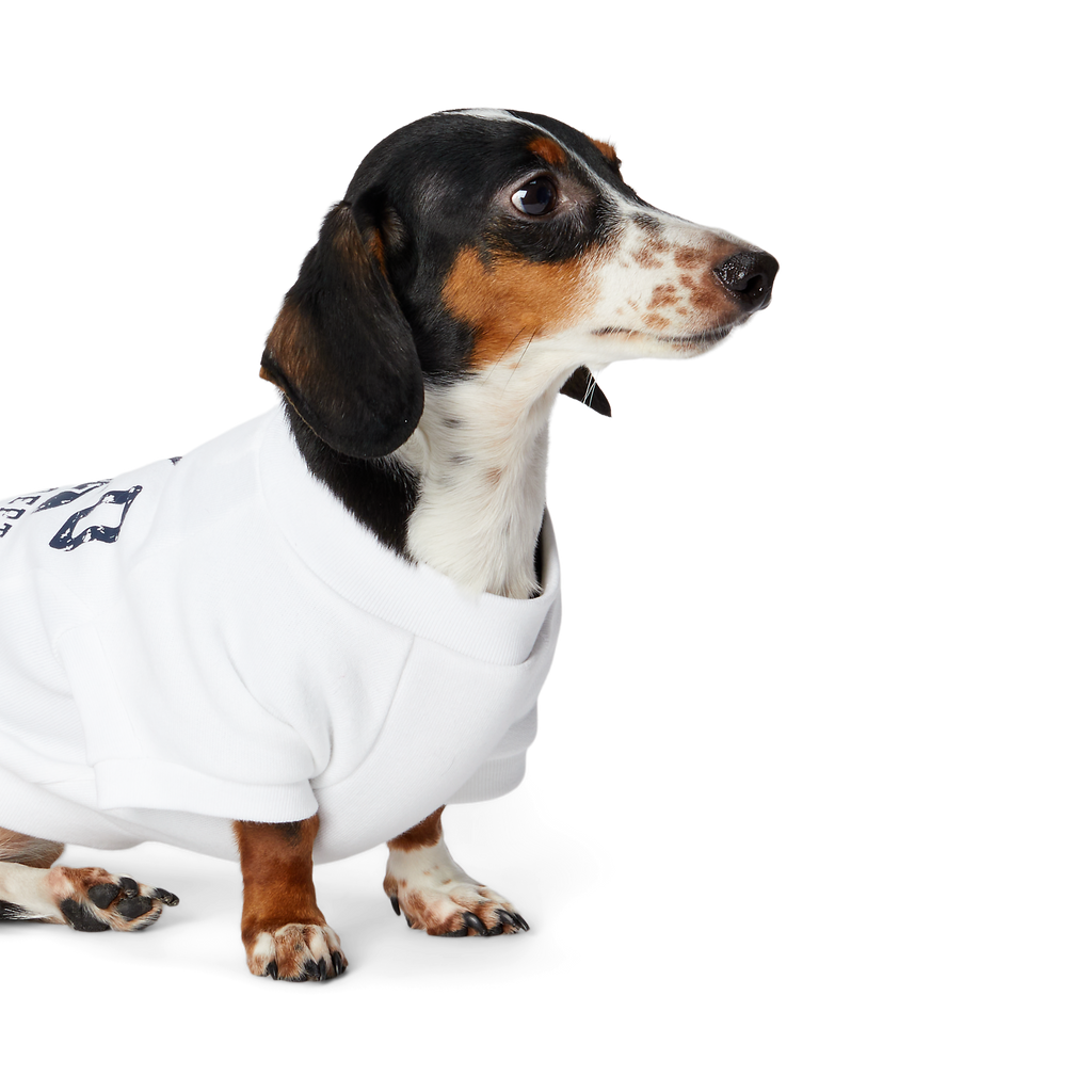 Polo Ralph Lauren Fleece Dog Sweatshirt