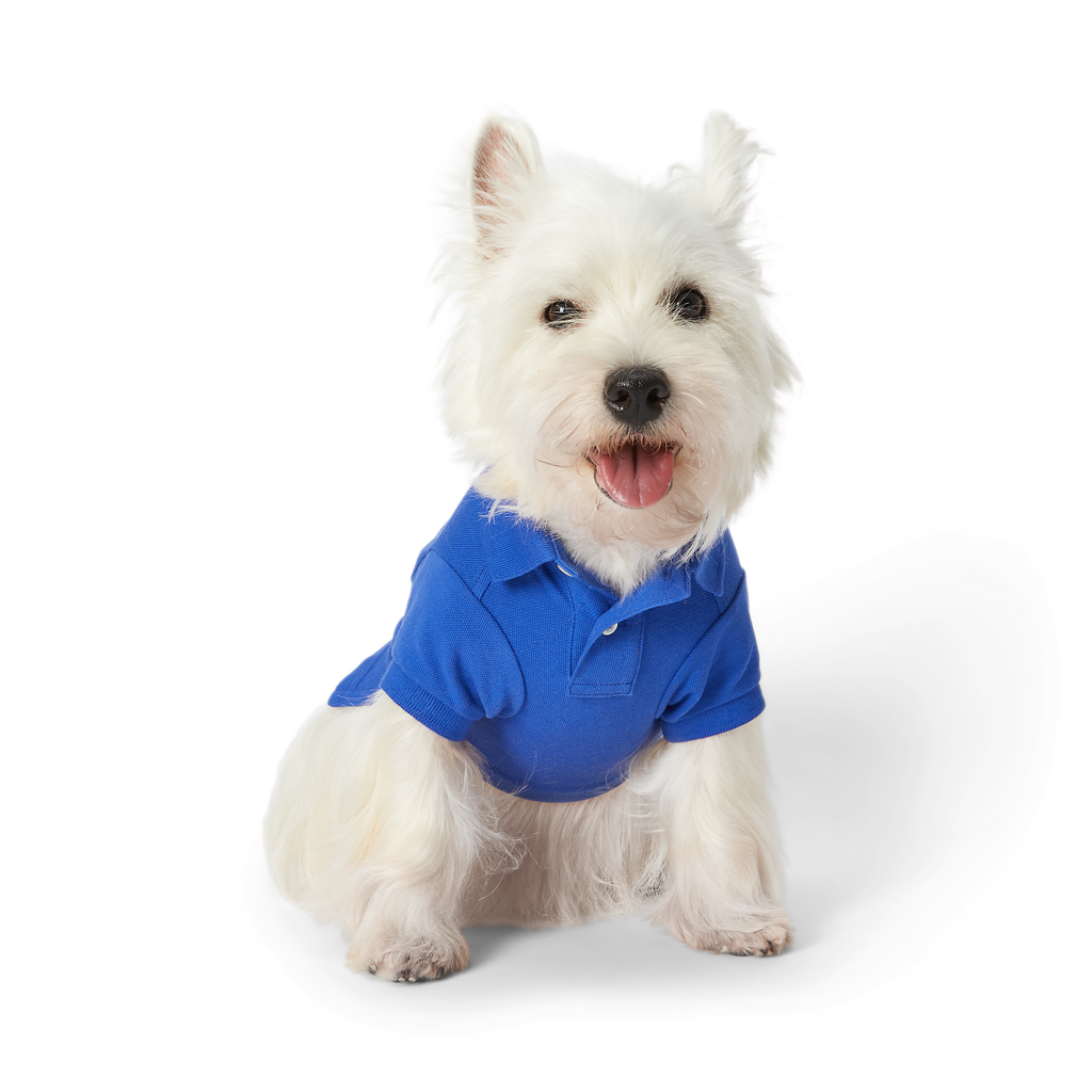 Polo Ralph Lauren Dogs-Polo Bear Shirt