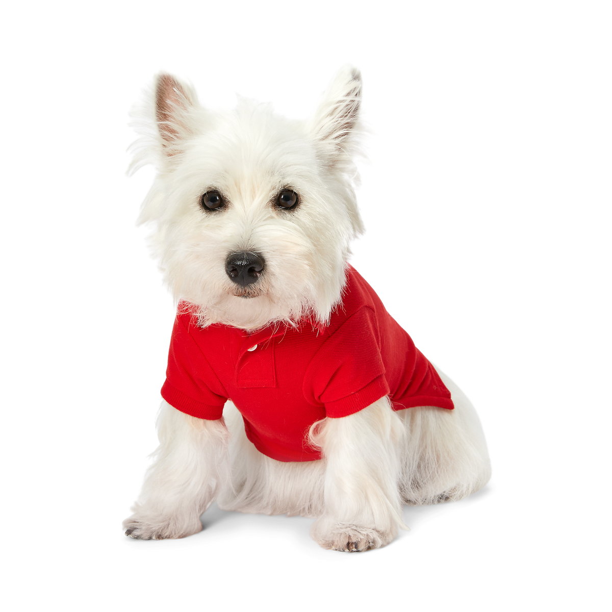 Polo Ralph Lauren Dogs-Polo Bear Shirt