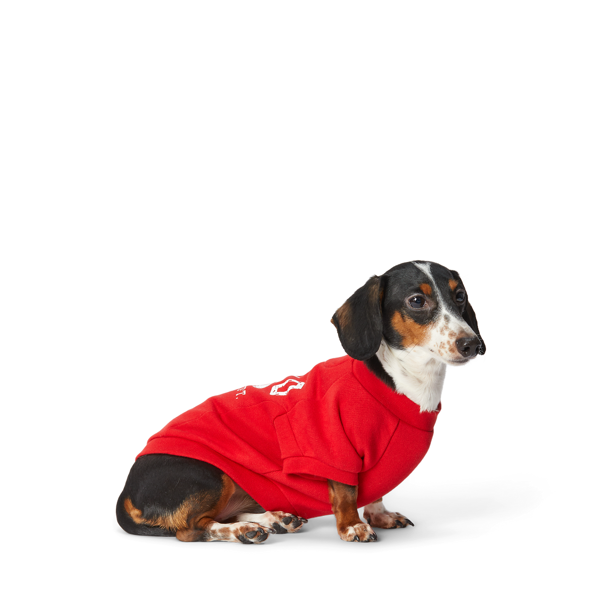 Polo Ralph Lauren Fleece Dog Sweatshirt