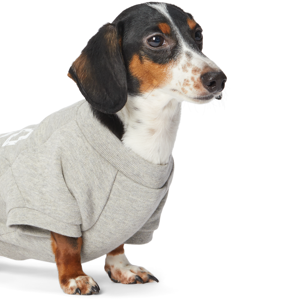 Polo Ralph Lauren Fleece Dog Sweatshirt