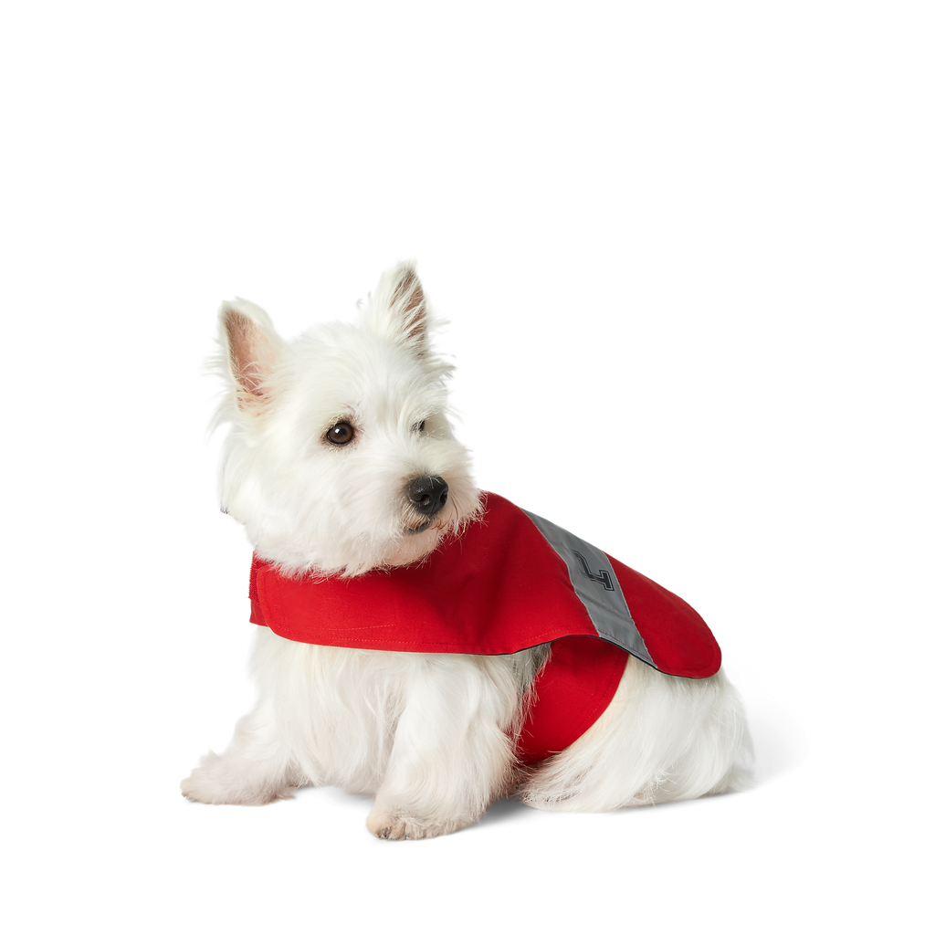 Polo Ralph Lauren Cotton-Canvas Dog Raincoat