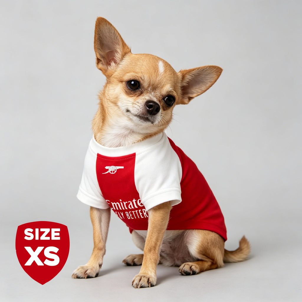 The Arsenal Pet Kit