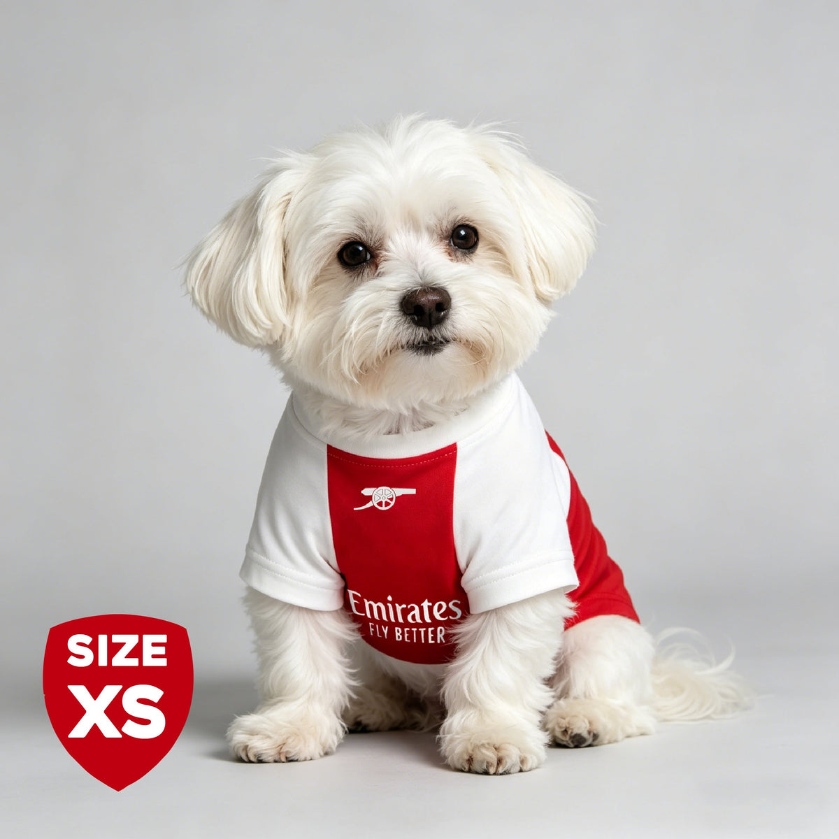 The Arsenal Pet Kit