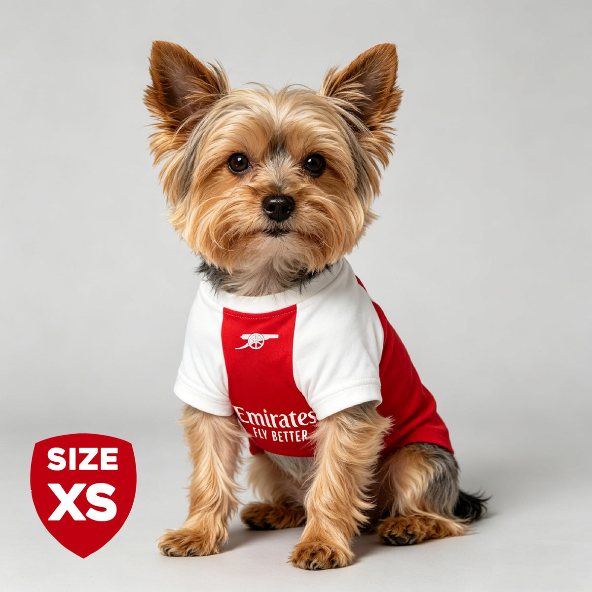 The Arsenal Pet Kit