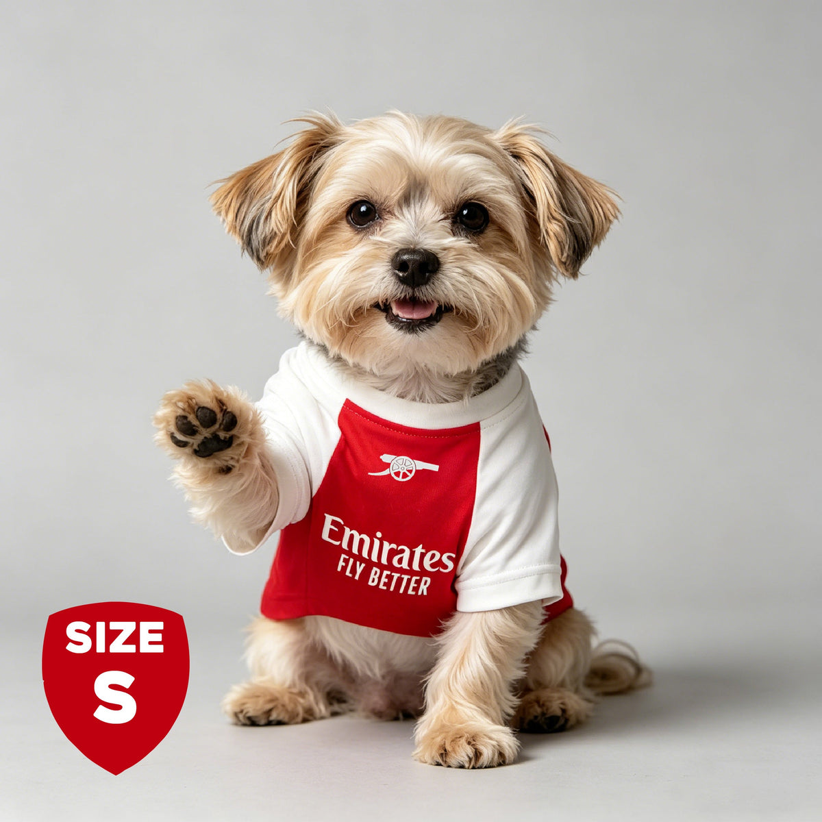 The Arsenal Pet Kit