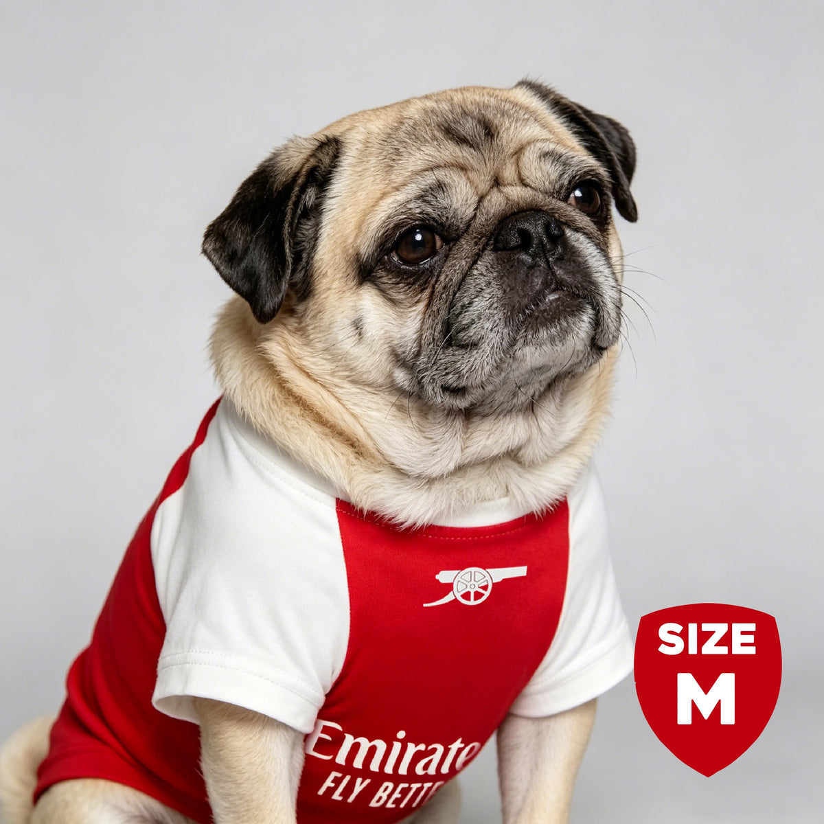 The Arsenal Pet Kit