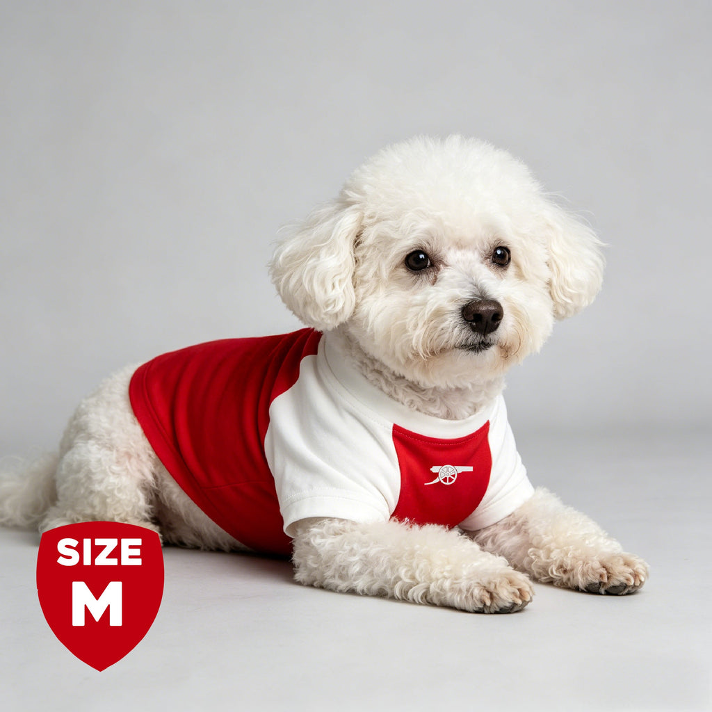 The Arsenal Pet Kit