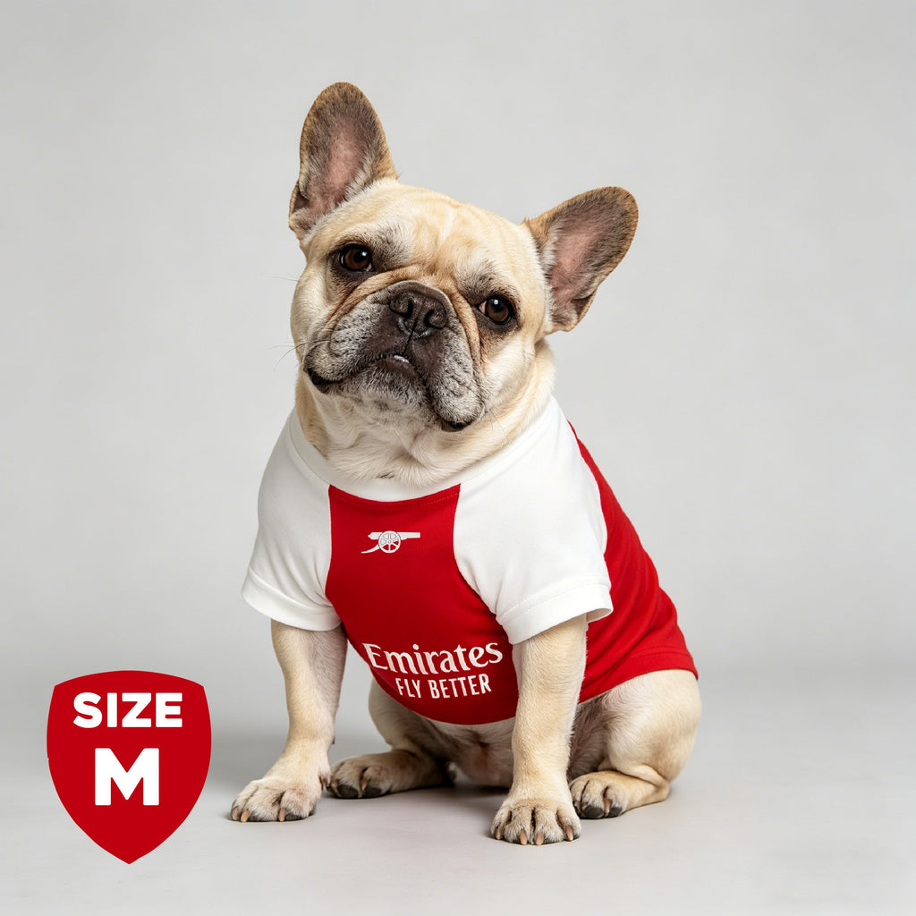 The Arsenal Pet Kit