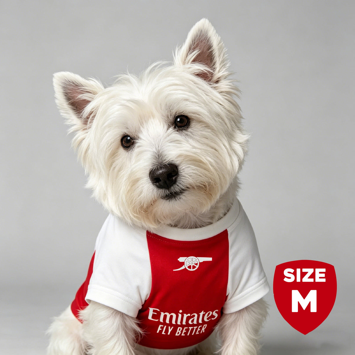 The Arsenal Pet Kit
