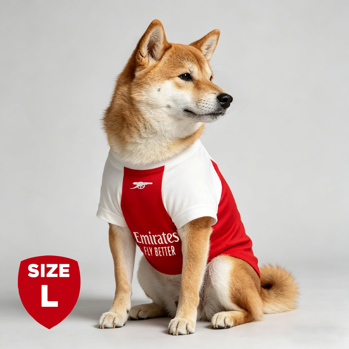The Arsenal Pet Kit