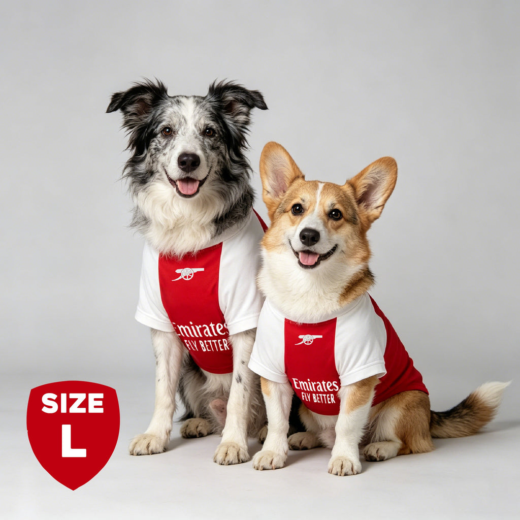 The Arsenal Pet Kit