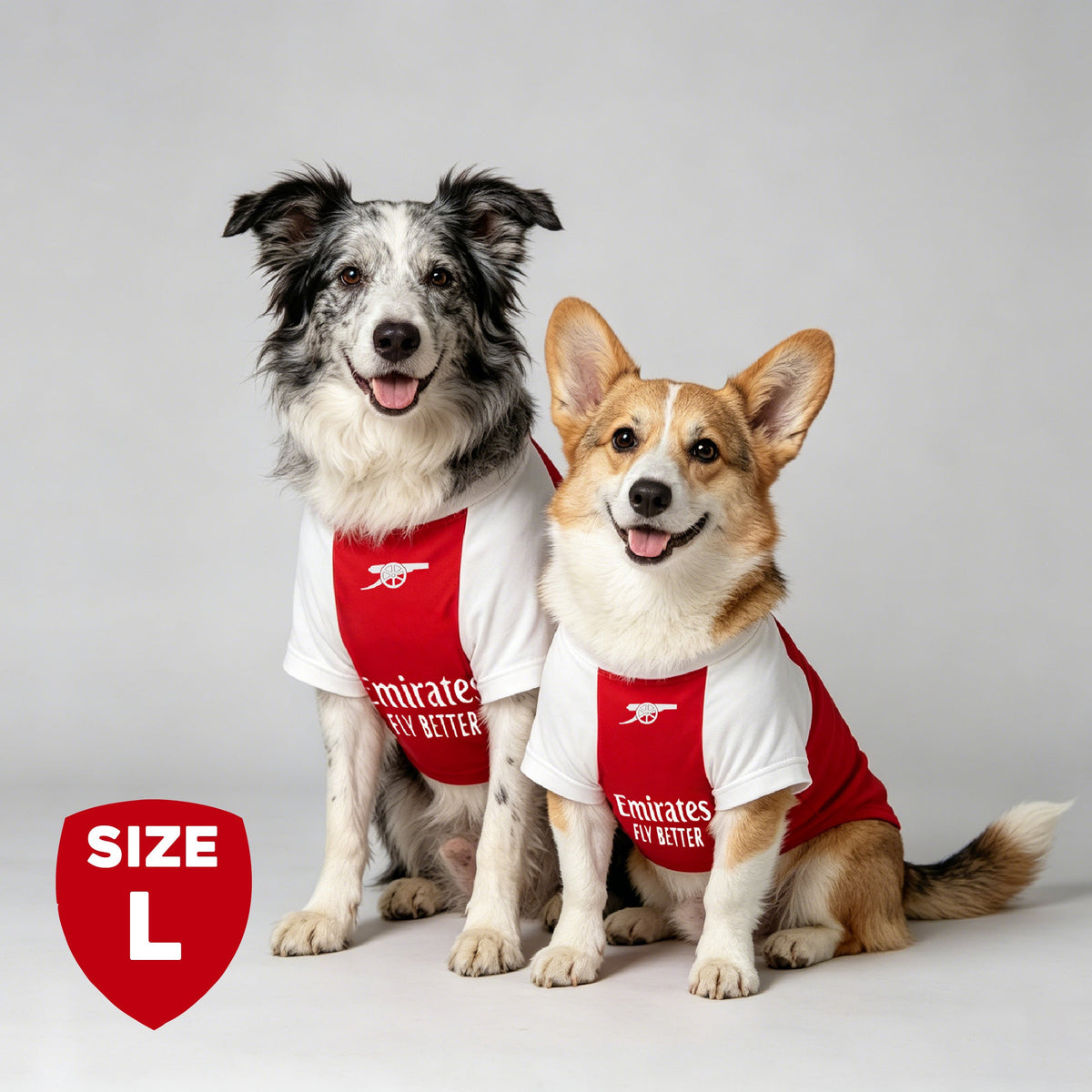 The Arsenal Pet Kit