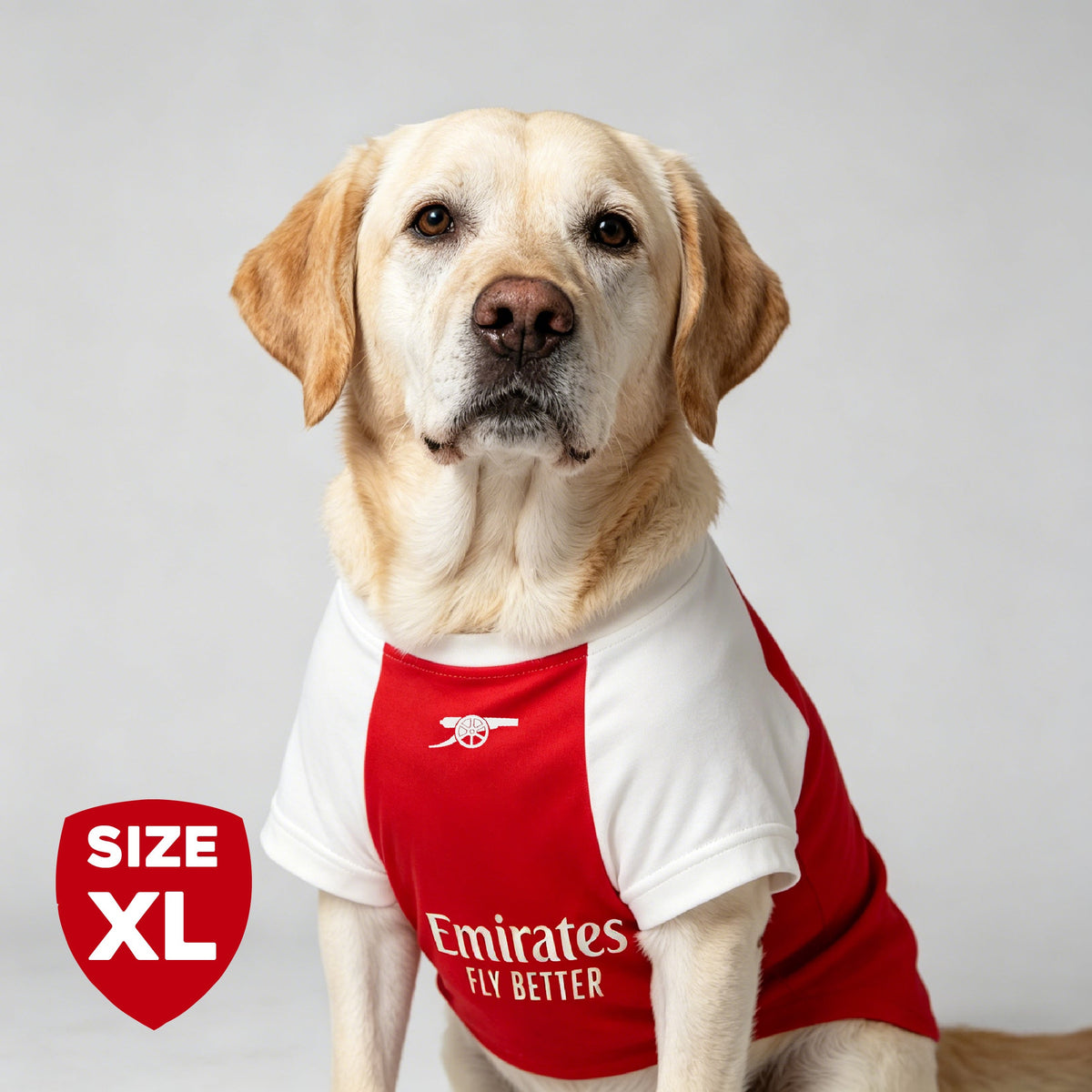 The Arsenal Pet Kit