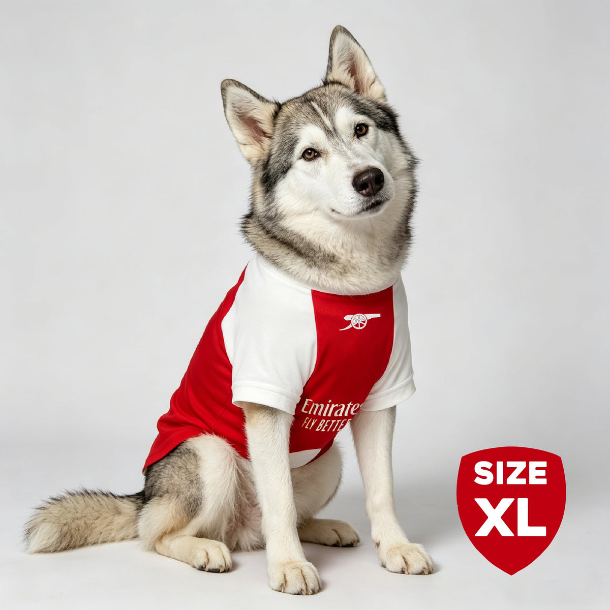 The Arsenal Pet Kit