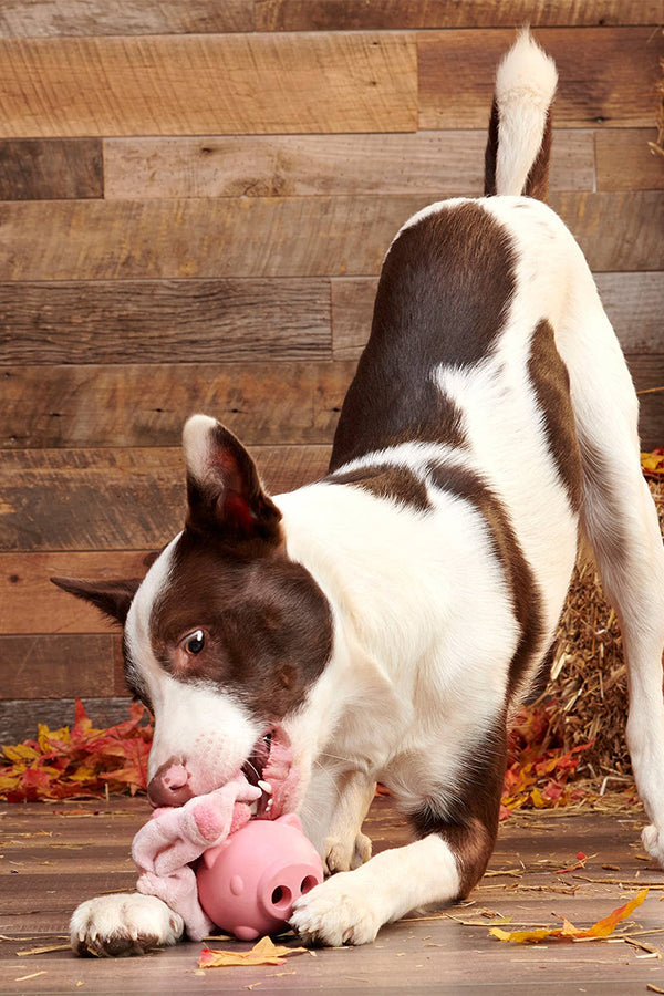 BARK Super Chewer Hambone Pig Hog Rubber Dog Toy