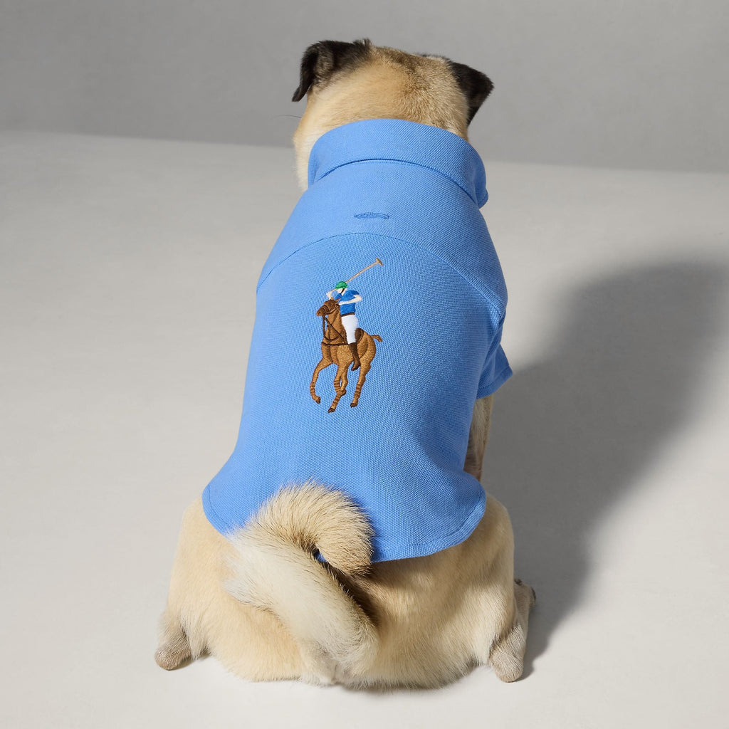 Polo Ralph Lauren Polo Pony Dog Cotton Mesh Shirt
