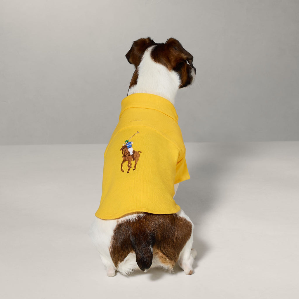 Polo Ralph Lauren Polo Pony Dog Cotton Mesh Shirt