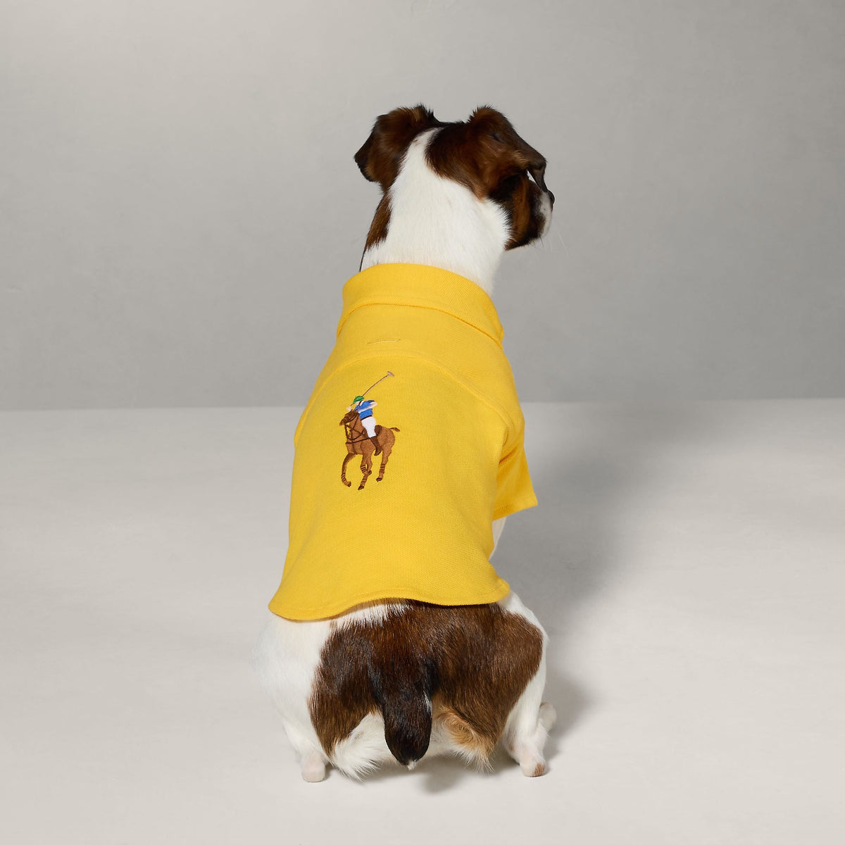 Polo Ralph Lauren Polo Pony Dog Cotton Mesh Shirt