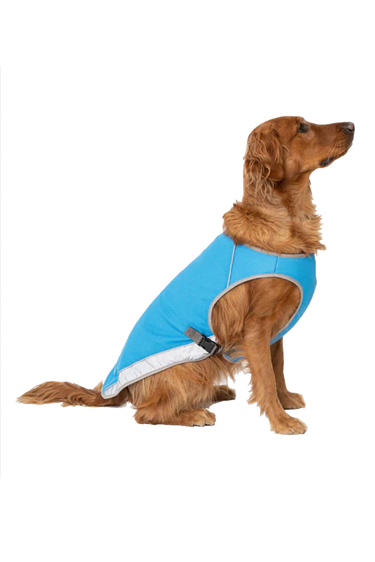 Canada Pooch Blue Cooling Dog Vest