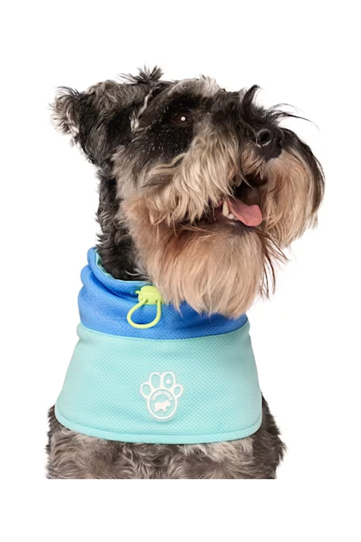 Canada Pooch Blue Max Chill Cooling Snood