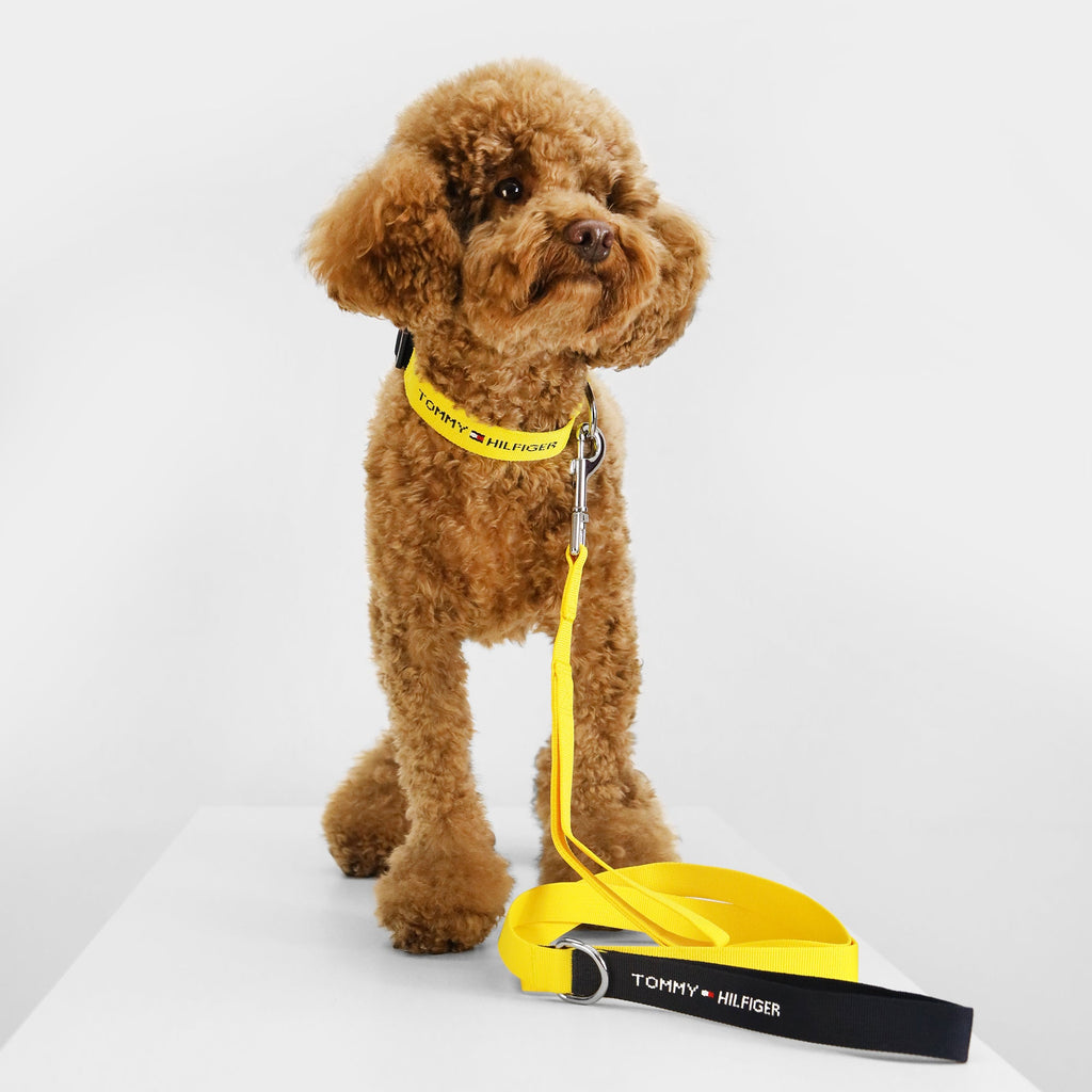 Tommy Hilfiger Webbing Leash