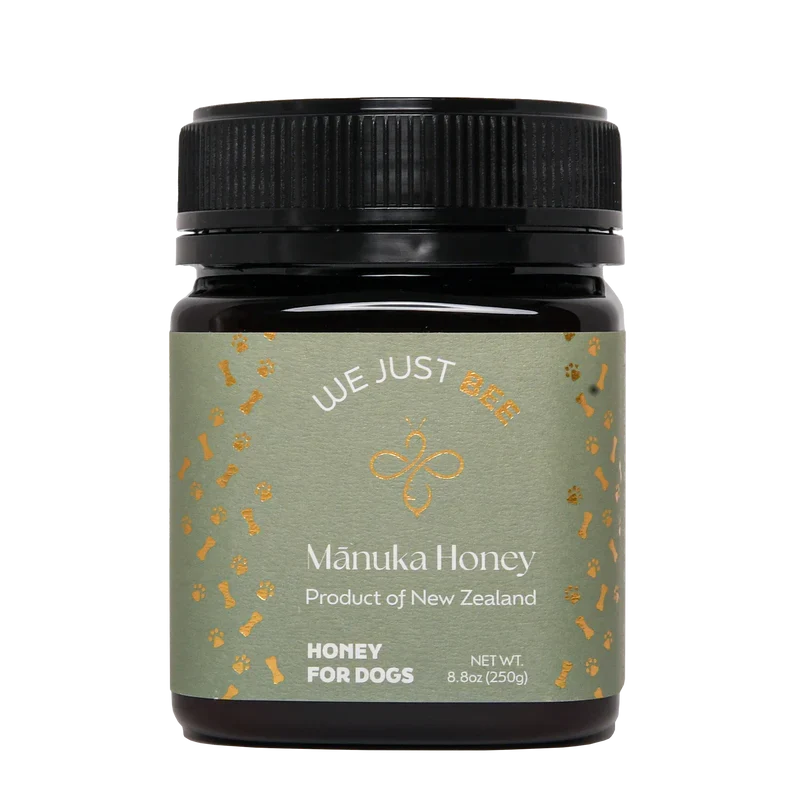 We Just Bee MGO250+ Manuka Honey for Dogs 250g | Immunity & Gut Health | New Zealand