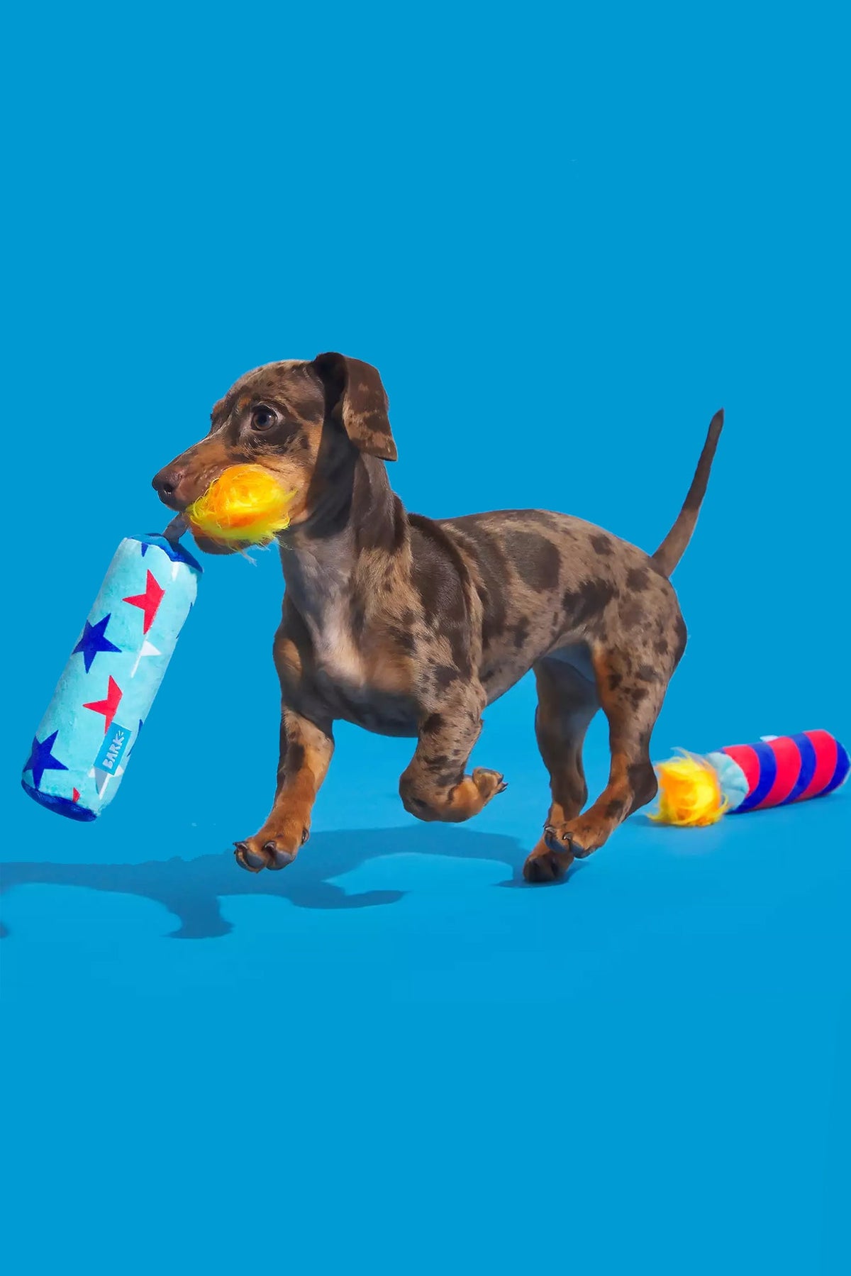 BARK Pup-Pup Fireworks Plush Dog Toy