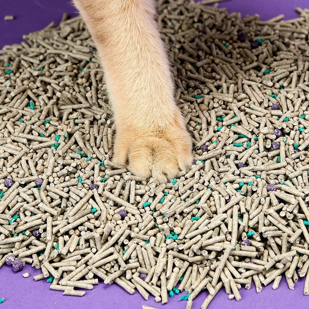 5-in-1 Mixed Cat Litter - 4 Bags