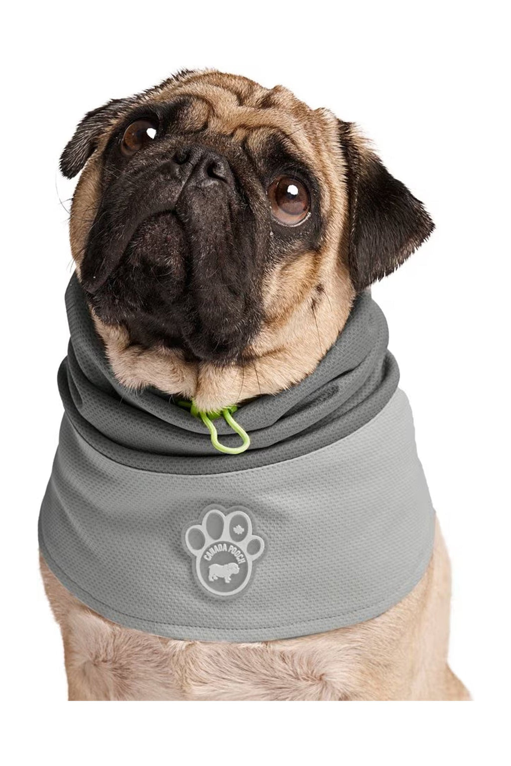 Canada Pooch Grey Max Chill Cooling Snood
