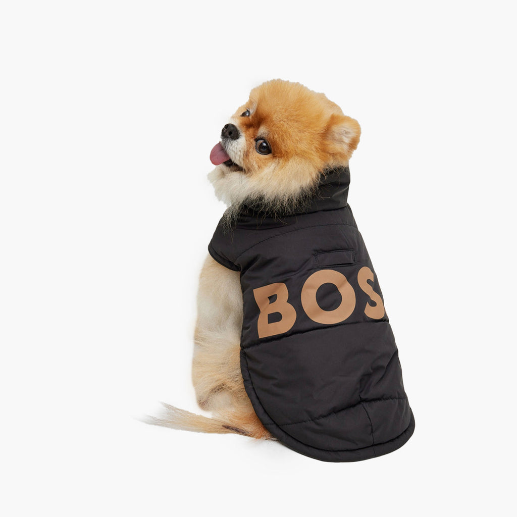 BOSS Dog Padded Jacket
