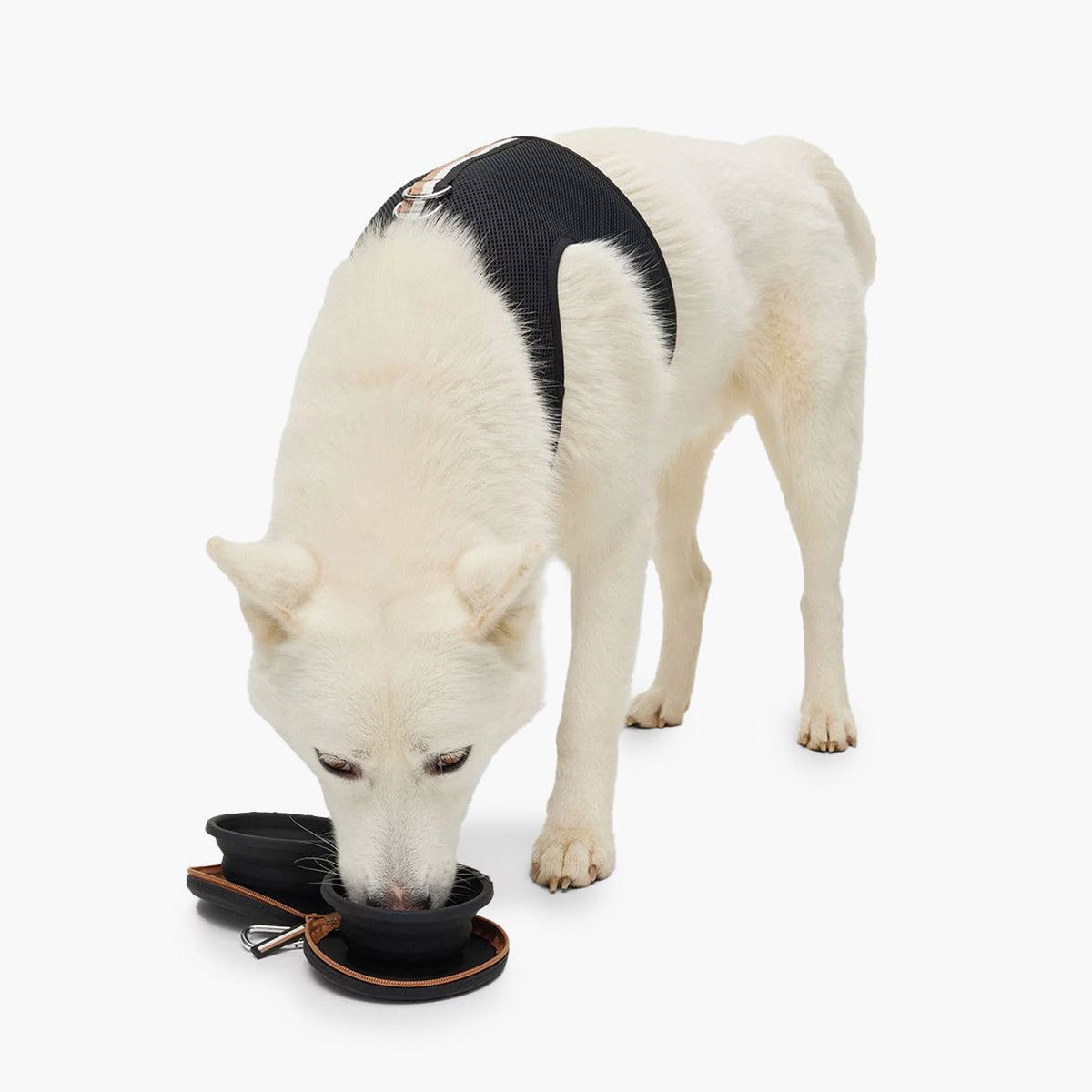 BOSS Dog Travel Bowl Set