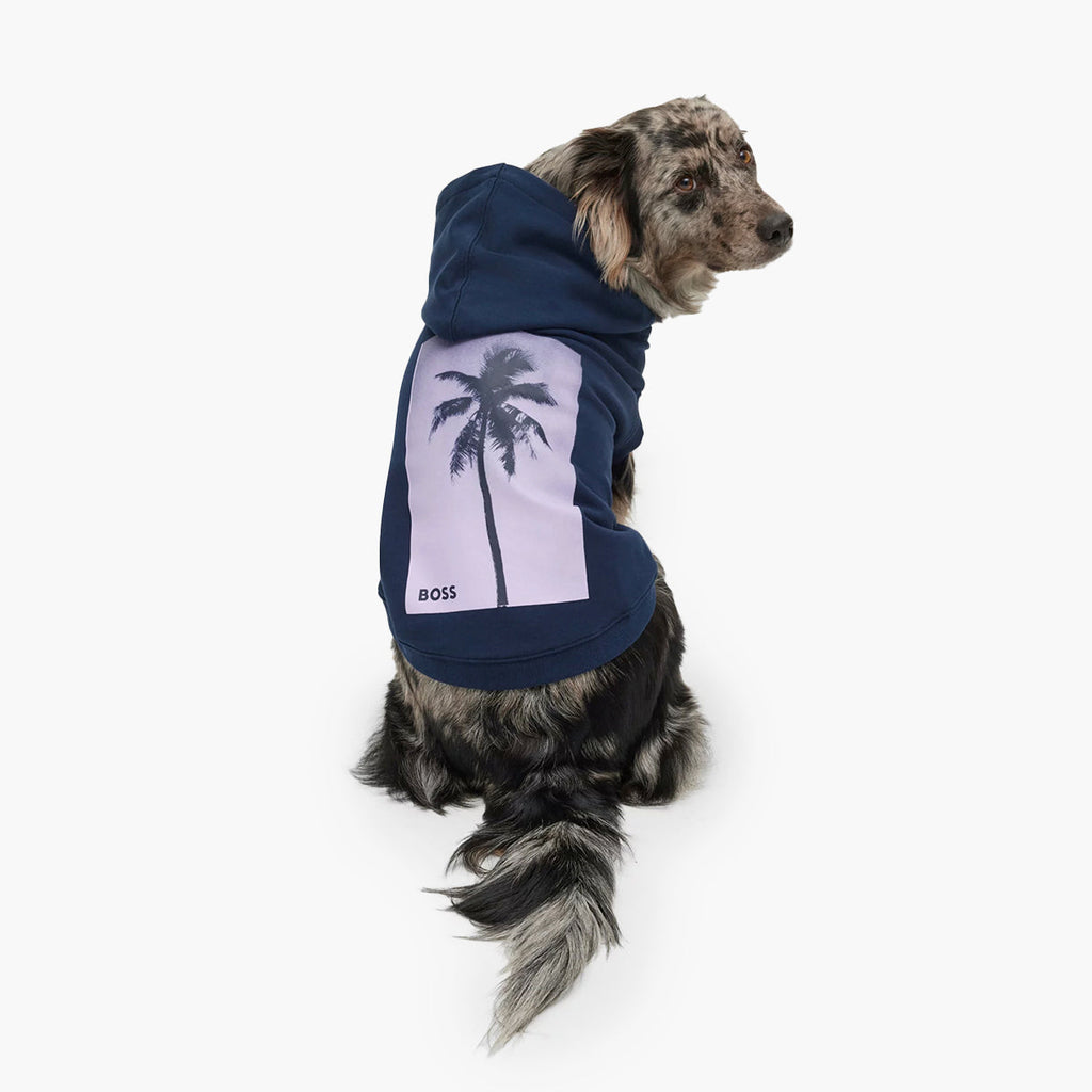 BOSS Dog Beach Hoodie