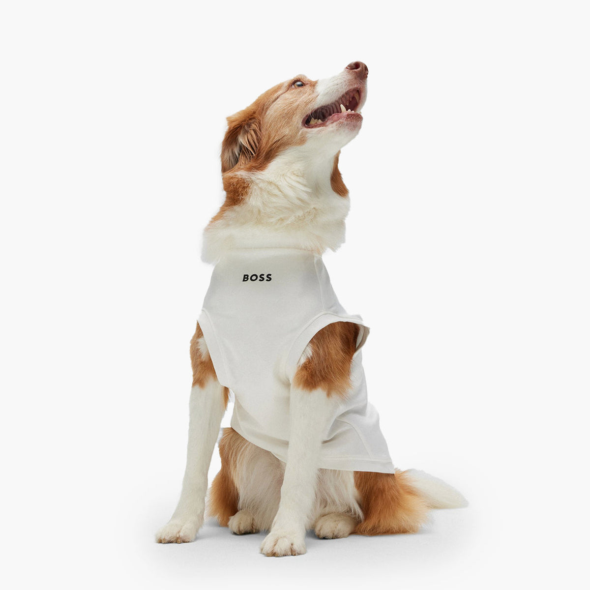 BOSS Dog Graphic Tee — Mercerised Cotton Dog T-Shirt