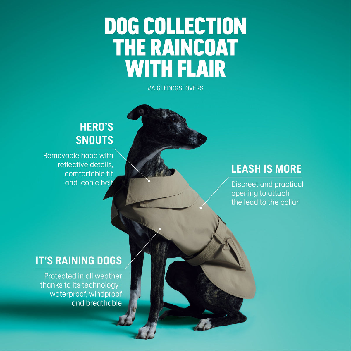 Aigle Pet Trench Coat
