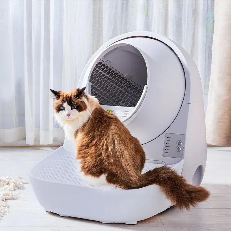 CATLINK Self Cleaning Litter Box - Scooper Young Pro-X