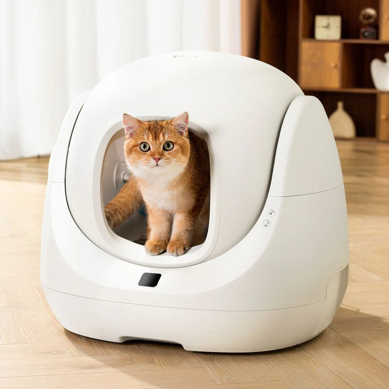 CATLINK Smart Litter Box - Scooper SE