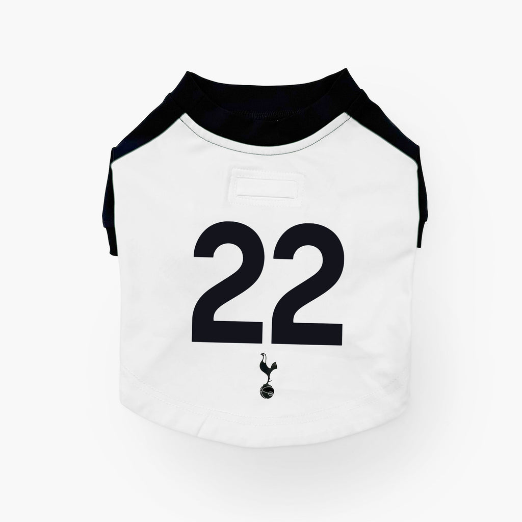 The Official Spurs Pet Kit