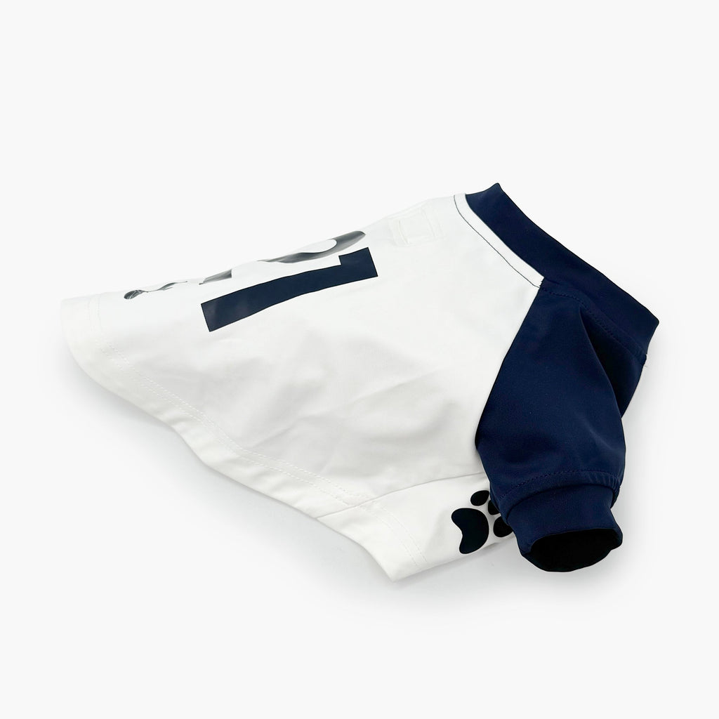 The Official Spurs Pet Kit
