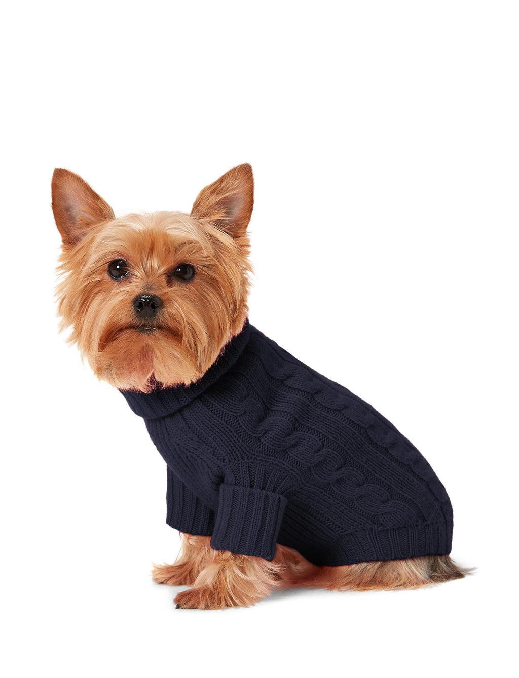 Polo Ralph Lauren Cable-Cashmere Dog Jumper
