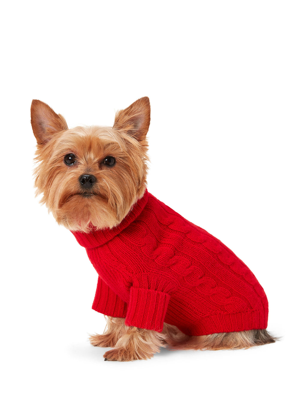 Polo Ralph Lauren Cable-Cashmere Dog Jumper