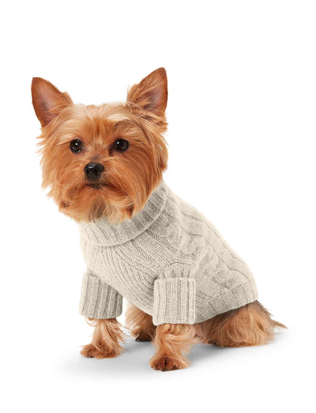 Polo Ralph Lauren Cable-Cashmere Dog Jumper