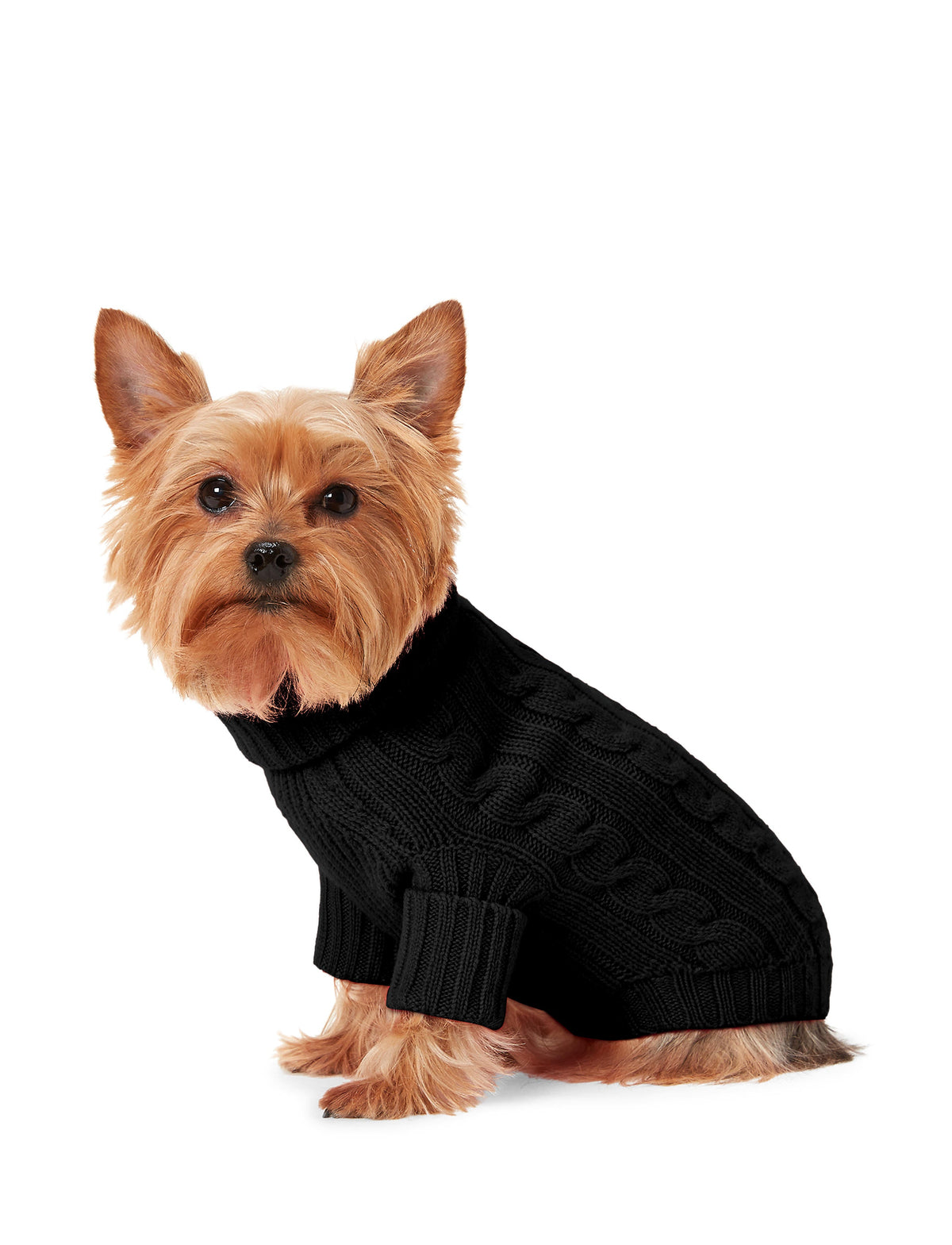 Polo Ralph Lauren Cable-Cashmere Dog Jumper