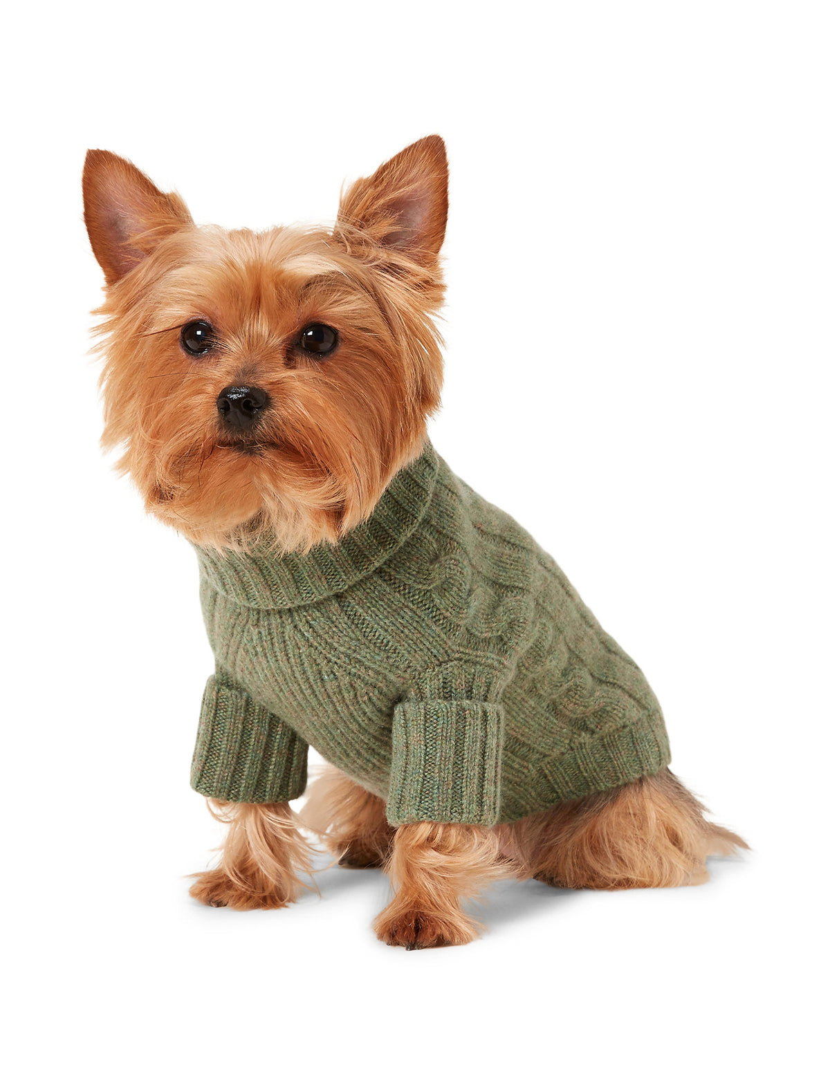 Polo Ralph Lauren Cable-Cashmere Dog Jumper