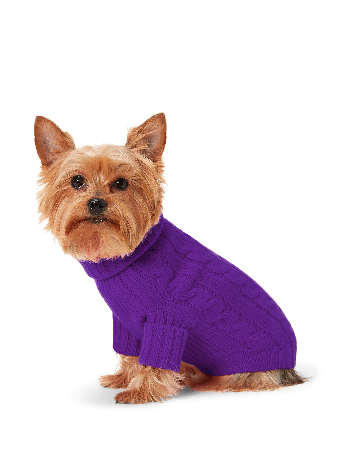 Polo Ralph Lauren Cable-Cashmere Dog Jumper